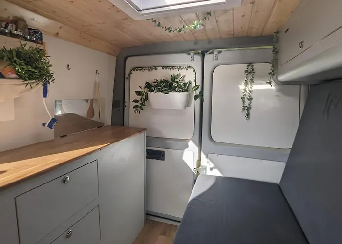 Campervans