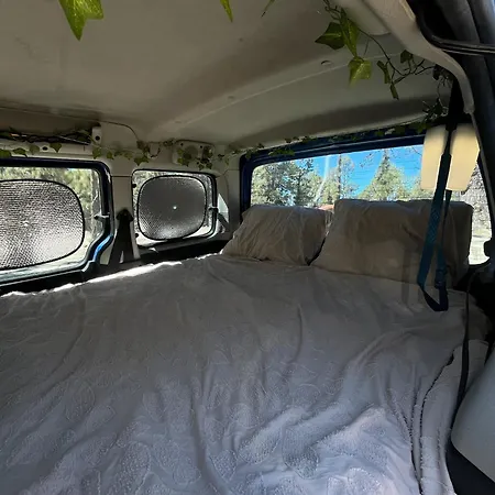 Campervans * El Medano (Tenerife)