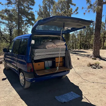 Campervans *