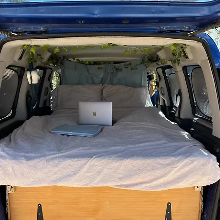 Campervans *